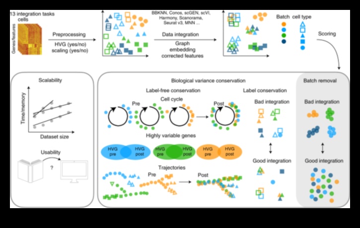 Data Harmony Πώς να εξισορροπήσετε τη μορφή και τη λειτουργία σε λύσεις μετασχηματισμού 4 Data Harmony: Balancing Form and Function in Transformation Solutions