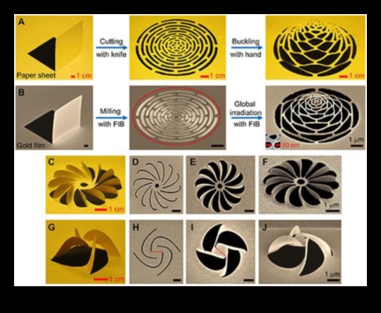 The Magic of Kirigami: Folding and Cutting for 3D Creations