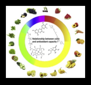 Ευεξία σε κάθε χρώμα: Το φάσμα των αντιοξειδωτικών