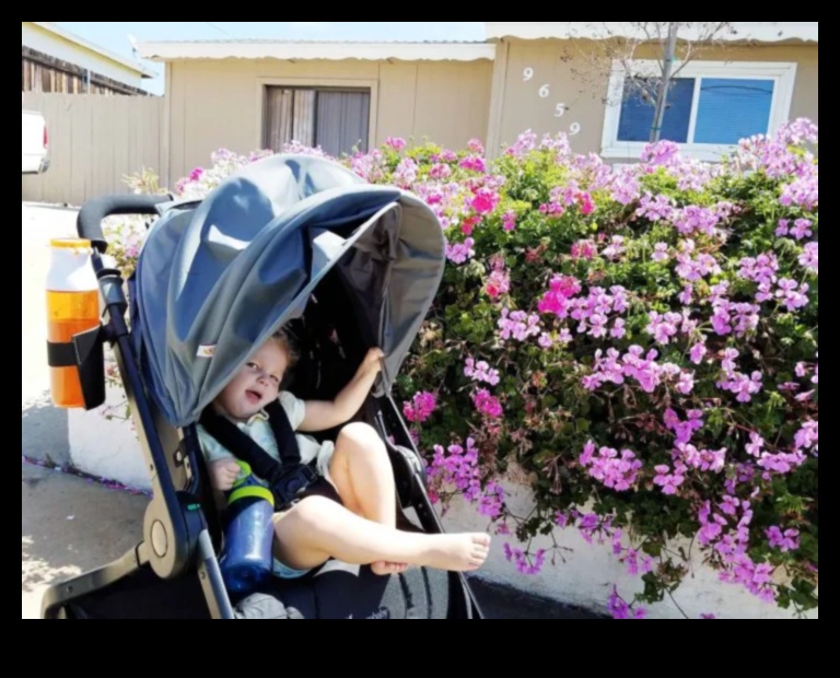 Soft Strolls: Υγιείς και άνετοι περίπατοι με το μωρό