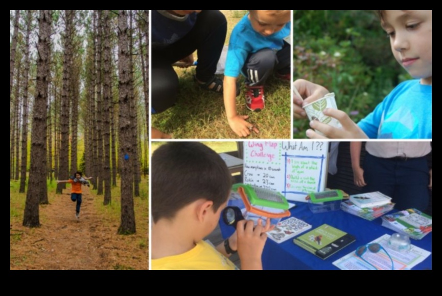 Little Explorer 5 τρόποι για να ενθαρρύνετε την περιέργεια στο μωρό σας 3 Little Explorer: Ενθάρρυνση της περιέργειας στο μωρό