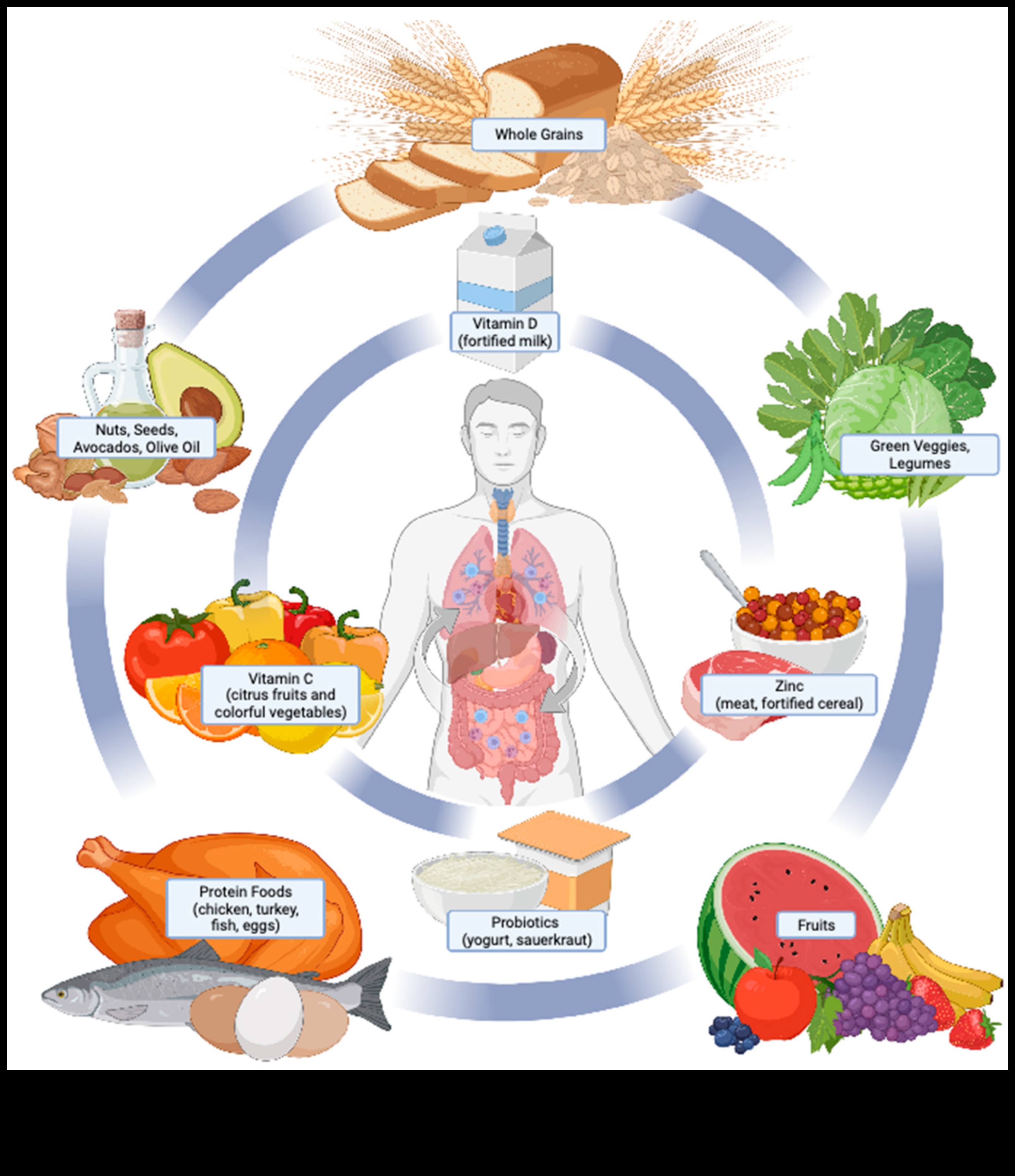 The Science of Sustenance: Expert Guidance in Nutrition Counseling