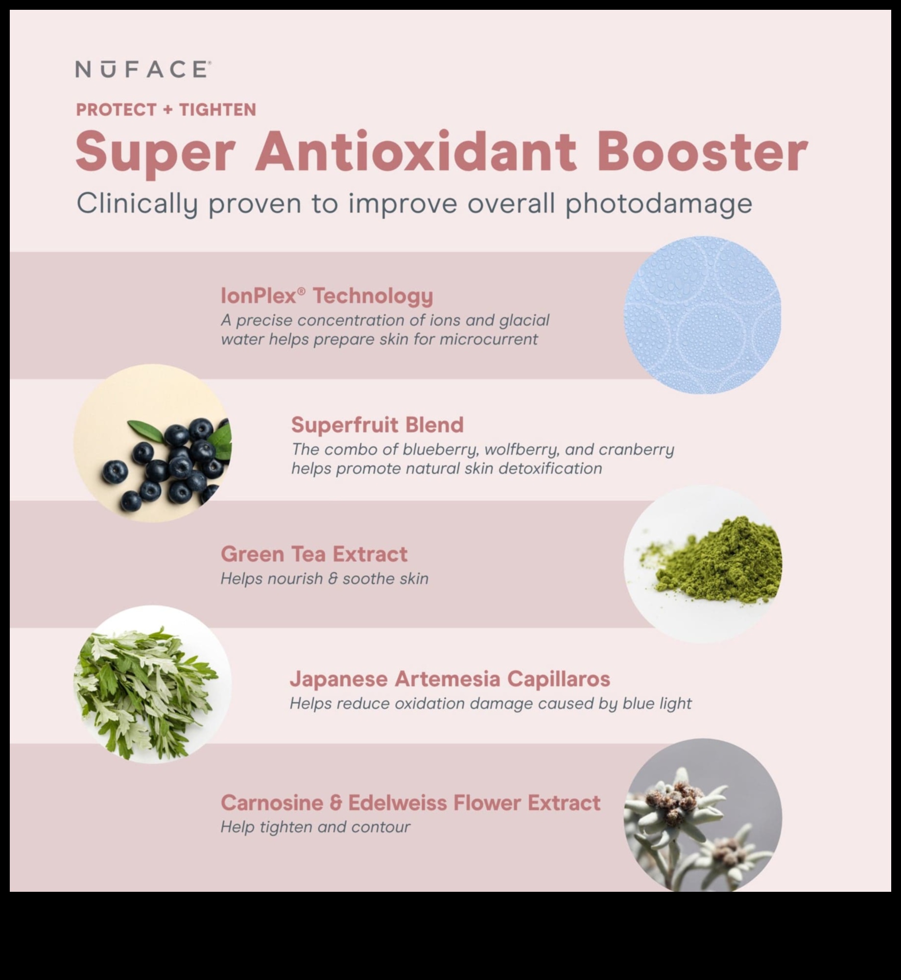 Θρέψη και προστασία: Η ακτινοβόλος δύναμη των αντιοξειδωτικών