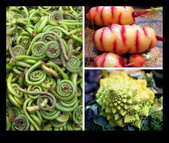 Μαγειρική χειροτεχνία με εξωτικά λαχανικά: εξερευνώντας μοναδικά προϊόντα