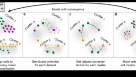 Data Harmony: Balancing Form and Function in Transformation Solutions