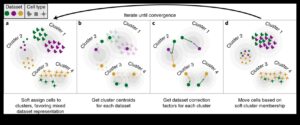Data Harmony: Balancing Form and Function in Transformation Solutions