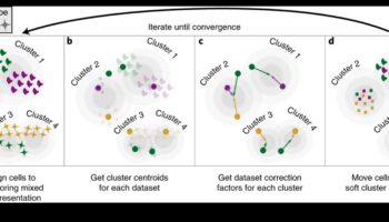 Data Harmony: Balancing Form and Function in Transformation Solutions
