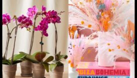 Floral Fantasia: Blooming Gifts for Mom's Day Joy