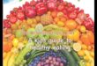 The ABCs of Nutrition: Ένας οδηγός για αρχάριους για υγιεινή διατροφή
