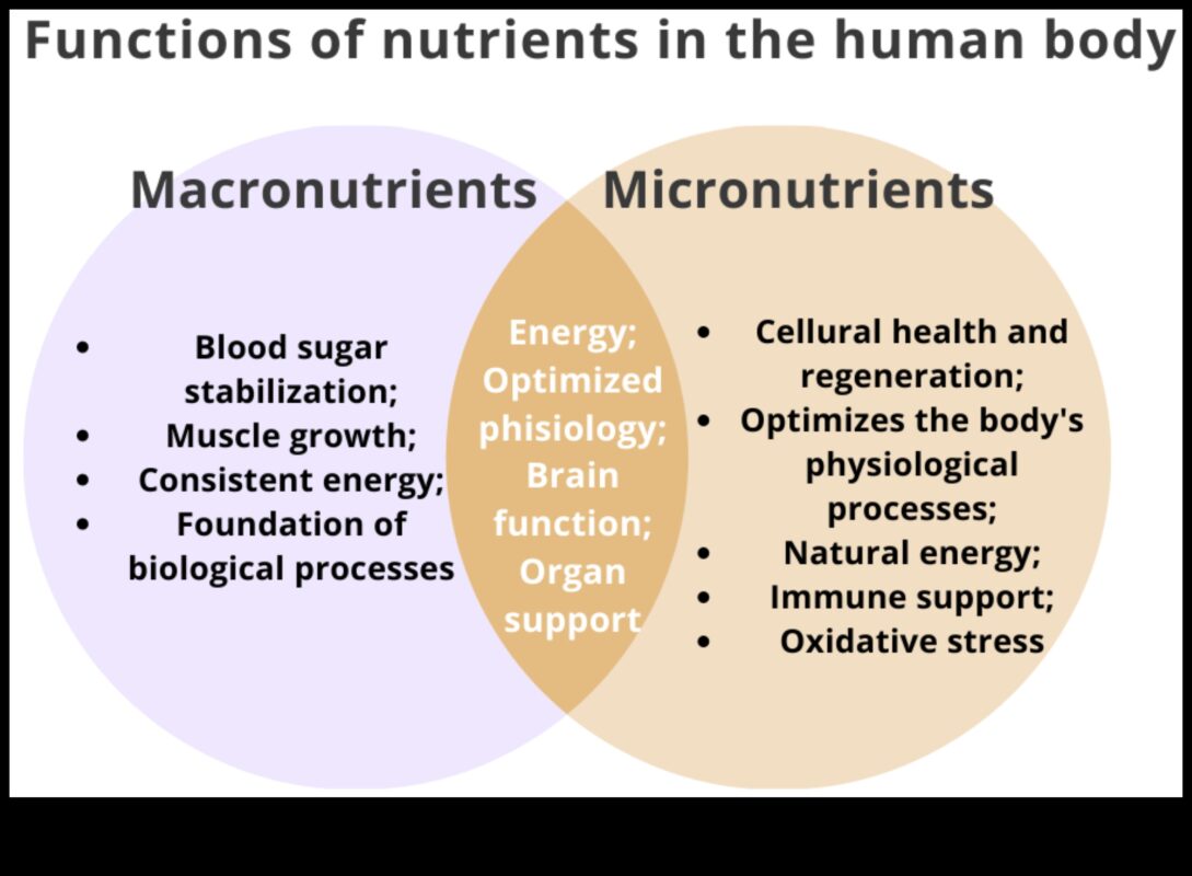 Απαραίτητα μικροθρεπτικά συστατικά: δομικά στοιχεία για βέλτιστη ευεξία