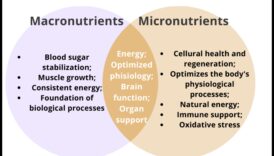 Απαραίτητα μικροθρεπτικά συστατικά: δομικά στοιχεία για βέλτιστη ευεξία