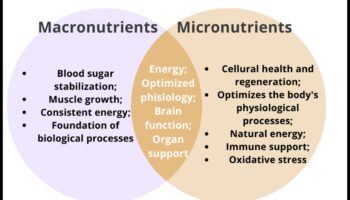 Απαραίτητα μικροθρεπτικά συστατικά: δομικά στοιχεία για βέλτιστη ευεξία