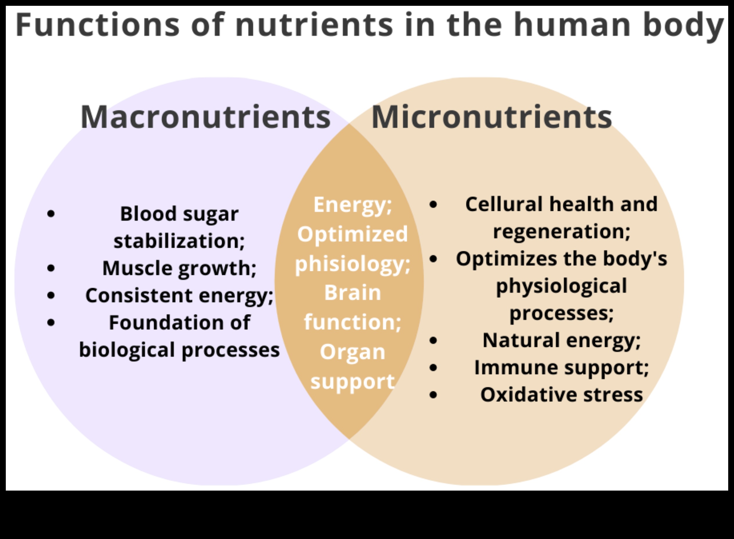 Απαραίτητα μικροθρεπτικά συστατικά Το θεμέλιο για ένα υγιές σώμα και μυαλό 1 Απαραίτητα μικροθρεπτικά συστατικά: δομικά στοιχεία για βέλτιστη ευεξία